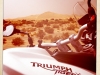 Triumph Tiger XC 800 in der Sahara